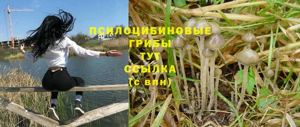 трава Надым