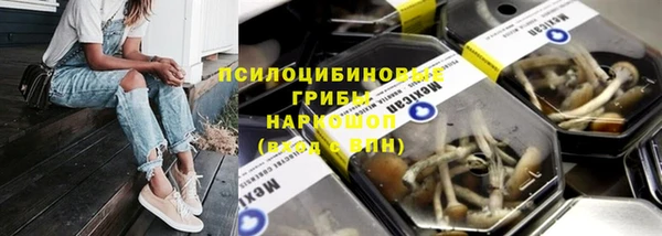 трава Надым