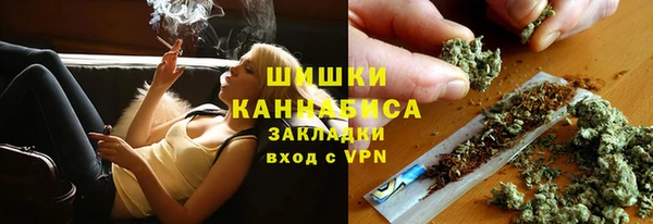 трава Надым