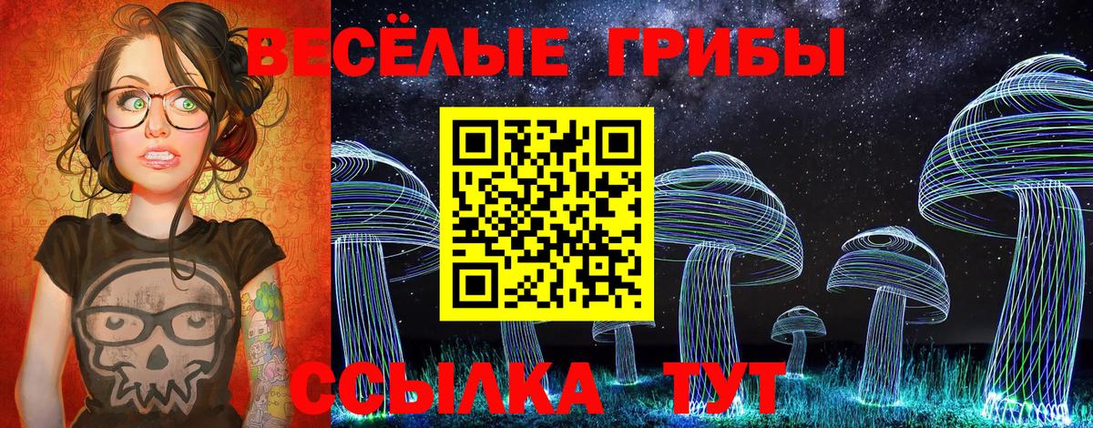 Псилоцибиновые грибы Psilocybine cubensis Комсомольск-на-Амуре